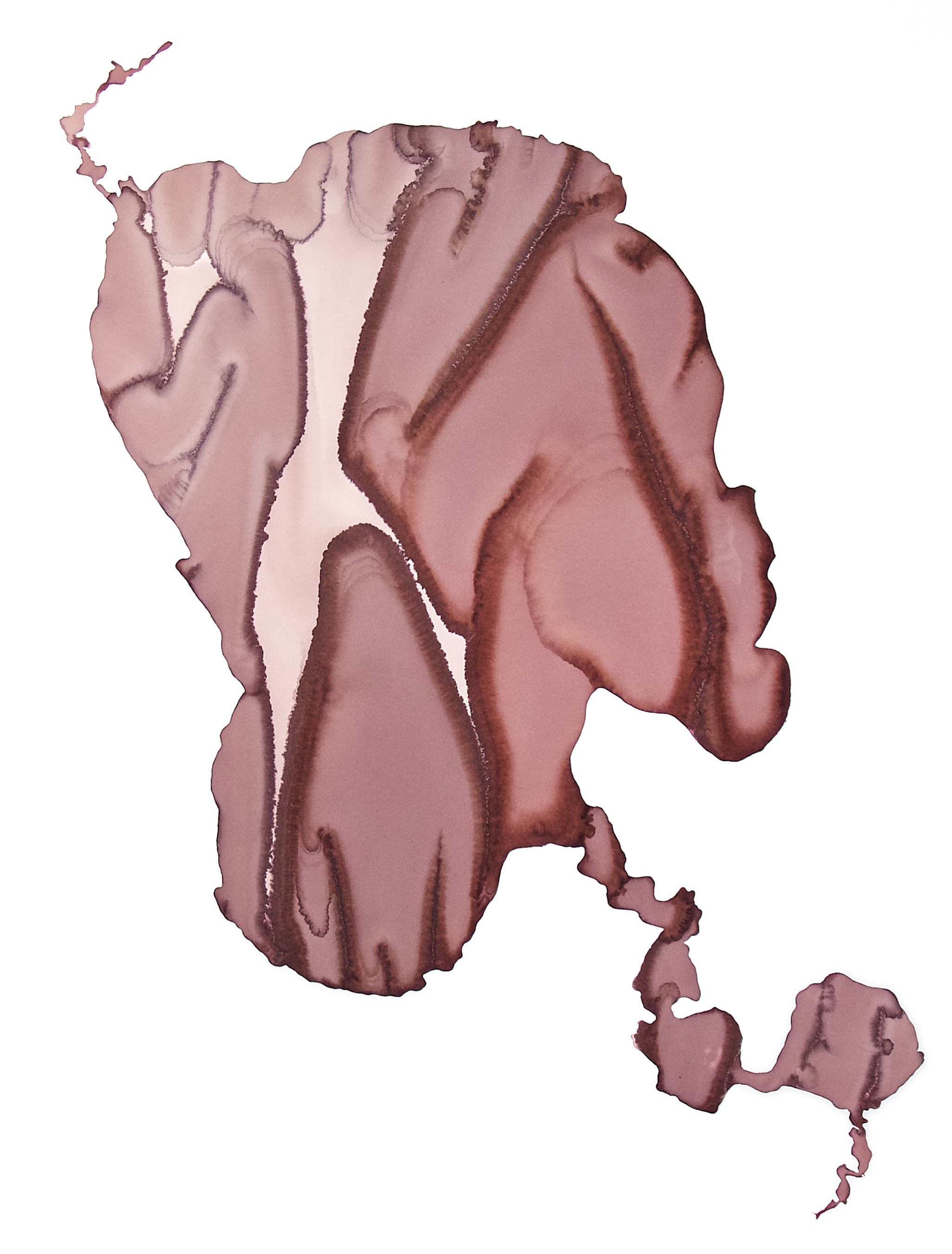 Heady, 2005 | wine on paper, 40 × 30 inches